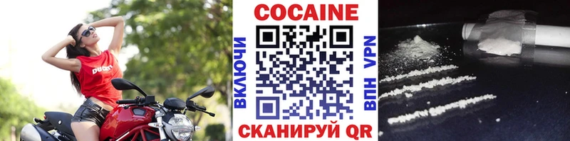 Купить закладки  Петровск-Забайкальский  Cocaine Эквадор 