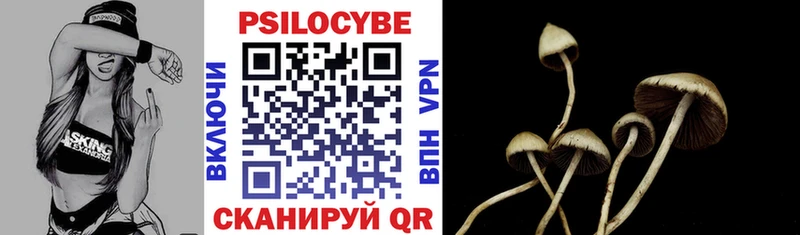 Купить где  Петровск-Забайкальский  Галлюциногенные грибы ЛСД 