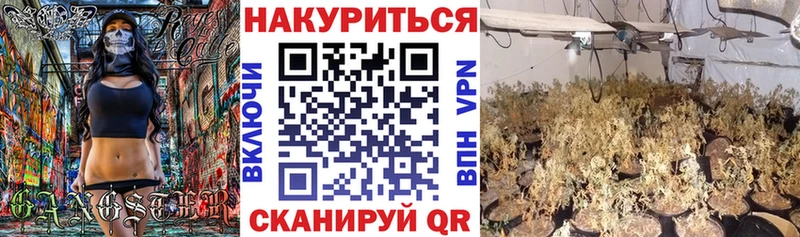 Купить закладки  Петровск-Забайкальский  МАРИХУАНА гибрид 